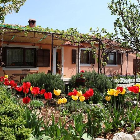 Villa Fragola - Holiday House With Large Garden Tinjan Eksteriør bilde