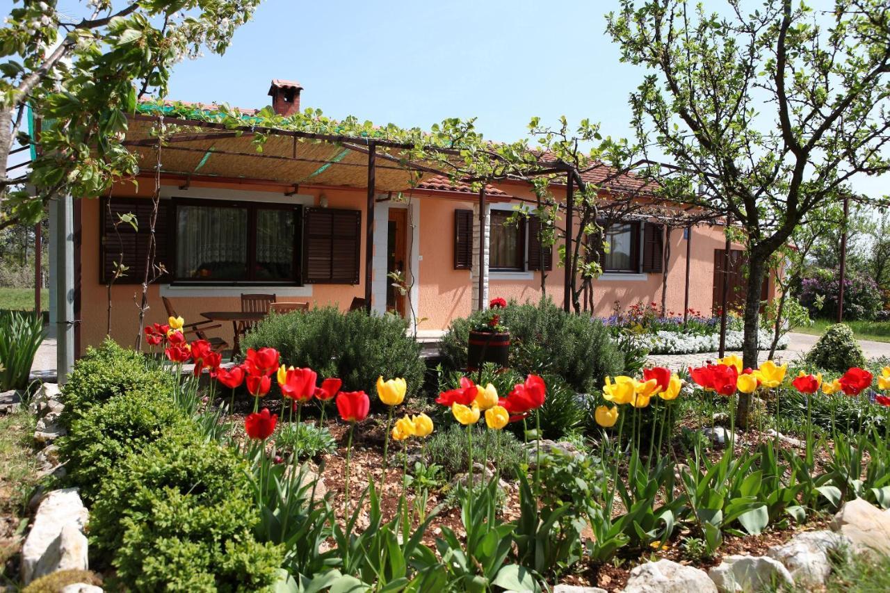 Villa Fragola - Holiday House With Large Garden Tinjan Eksteriør bilde